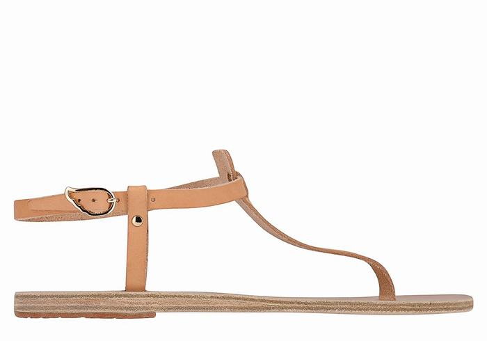 Sandales Bride Arrière Ancient Greek Sandals Lito Flip Flop Leather   | GVN-5958567